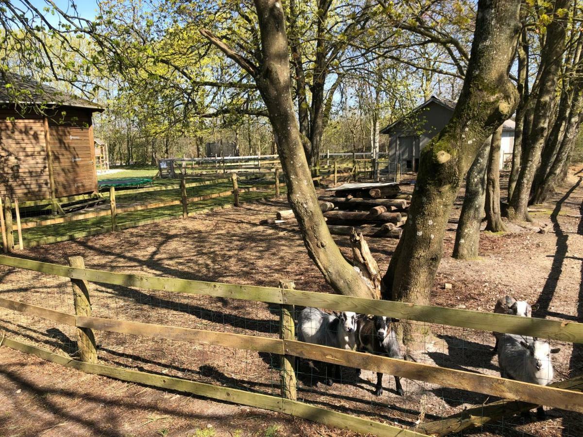 Hestkaer Family Rooms Summer Camp Krogager Extérieur photo