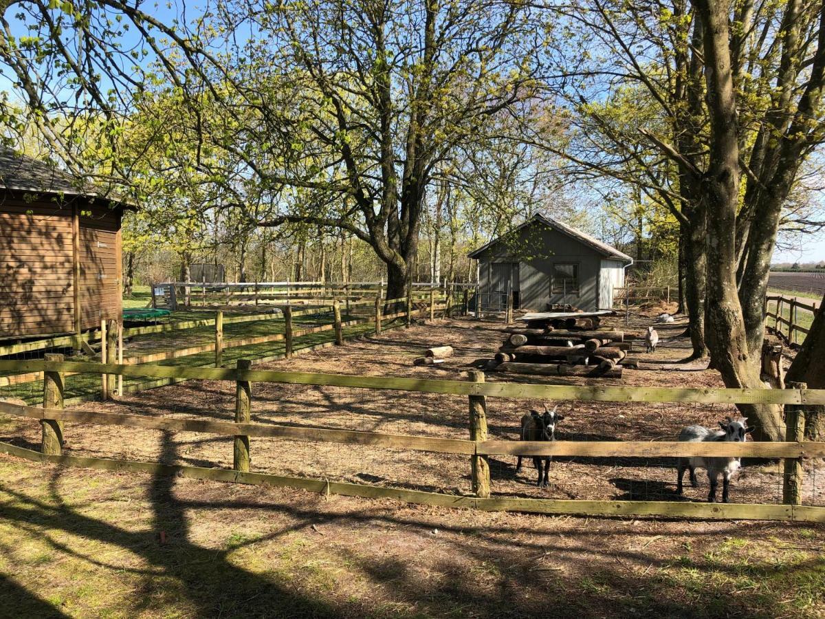 Hestkaer Family Rooms Summer Camp Krogager Extérieur photo